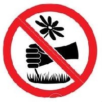 Пой дружок, резвись, играй и природу охраняй!