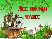  «Загадочный лес полон чудес».
