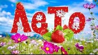 Лето в детском саду
